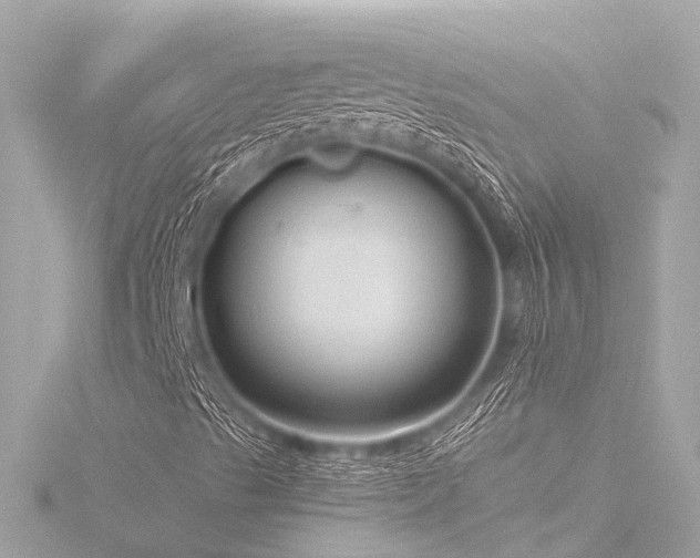 X0000116761489200912171425