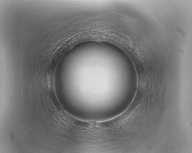 X0000116761490200912171425