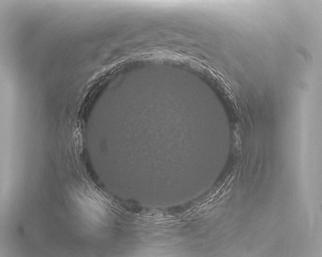 X0000116761493200912171425