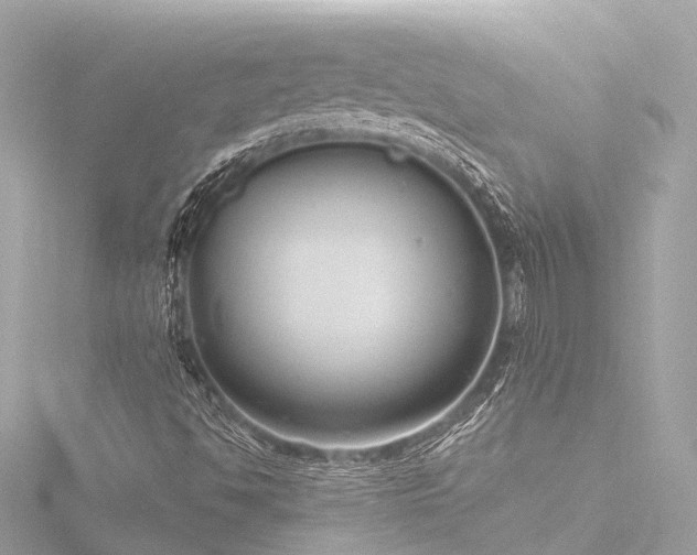 X0000116761494200912171425