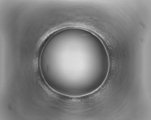 X0000116761503200912171425