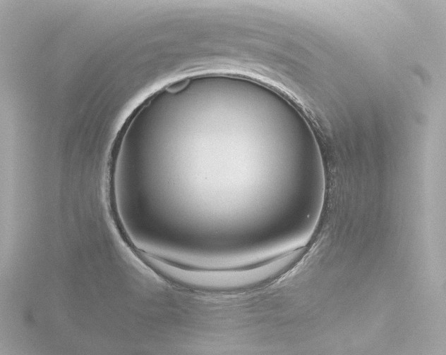 X0000116761518200912171425