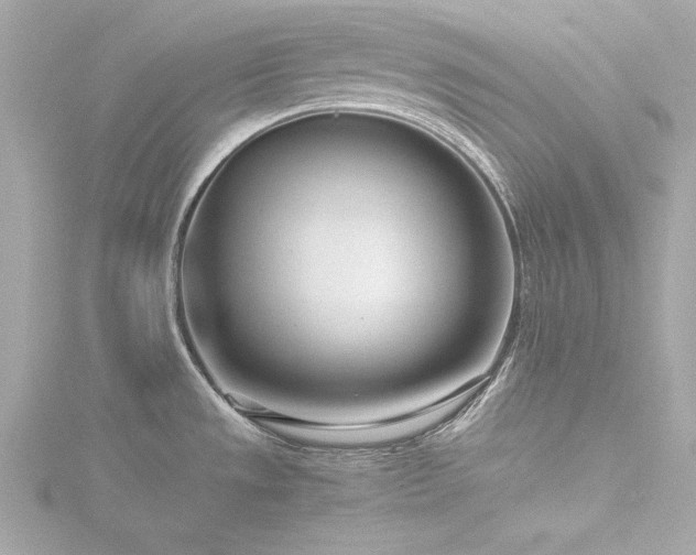 X0000116761533200912171425