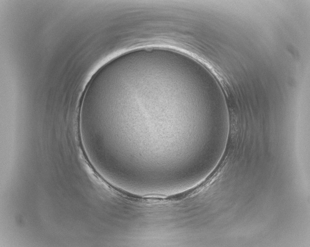 X0000116761534200912171425