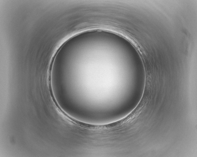X0000116761535200912171425