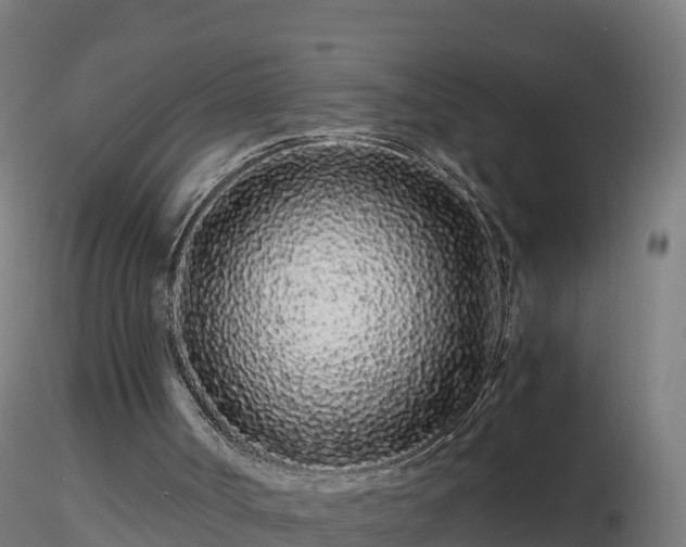 X0000116760002200912241152
