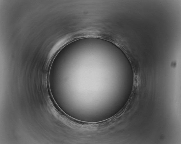 X0000116760004200912241152