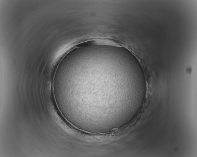 X0000116760005200912241152