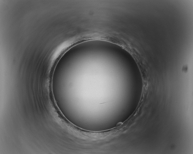 X0000116760006200912241152