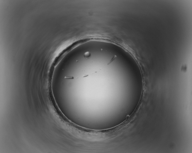 X0000116760008200912241152