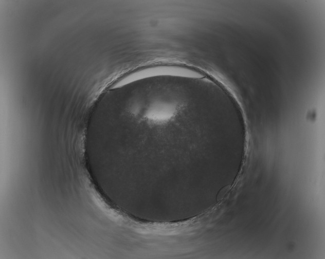 X0000116760009200912241152