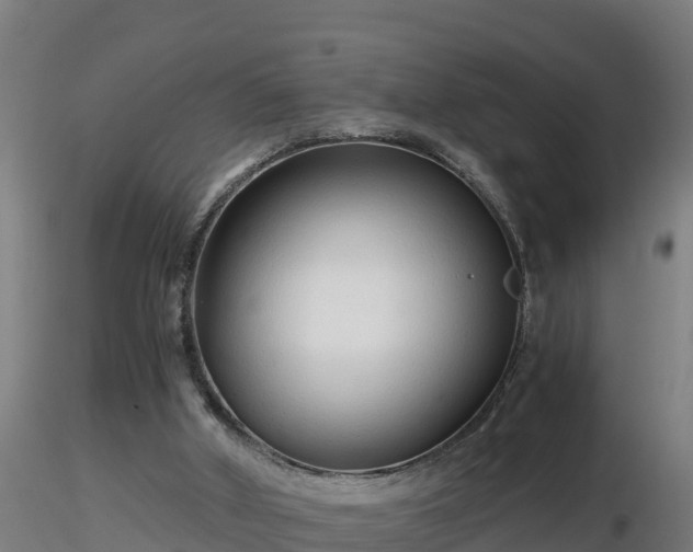 X0000116760010200912241152