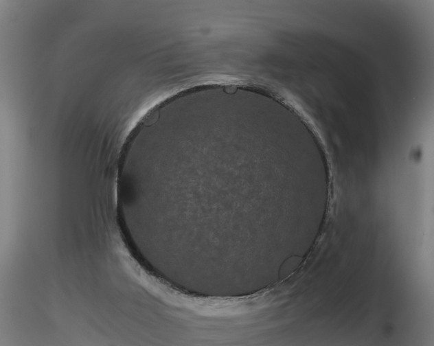 X0000116760011200912241152