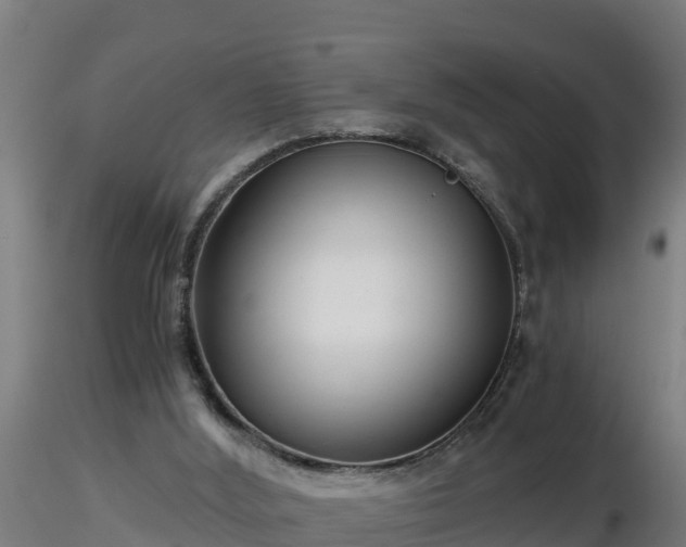 X0000116760012200912241152