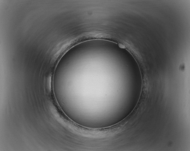 X0000116760014200912241152