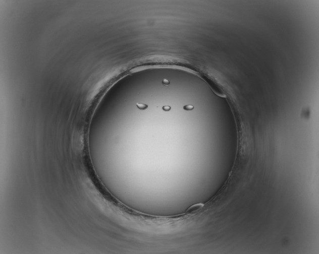 X0000116760015200912241152