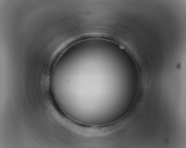 X0000116760016200912241152