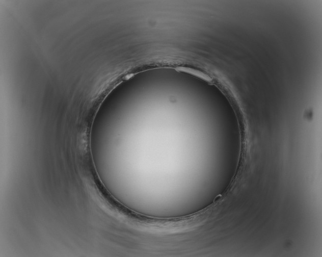 X0000116760017200912241152