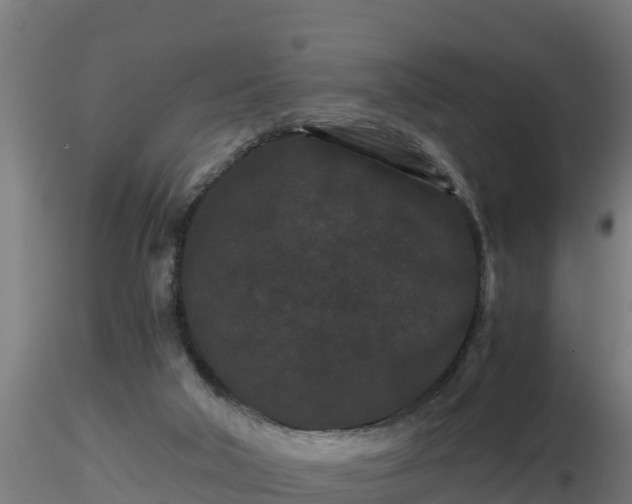X0000116760018200912241152