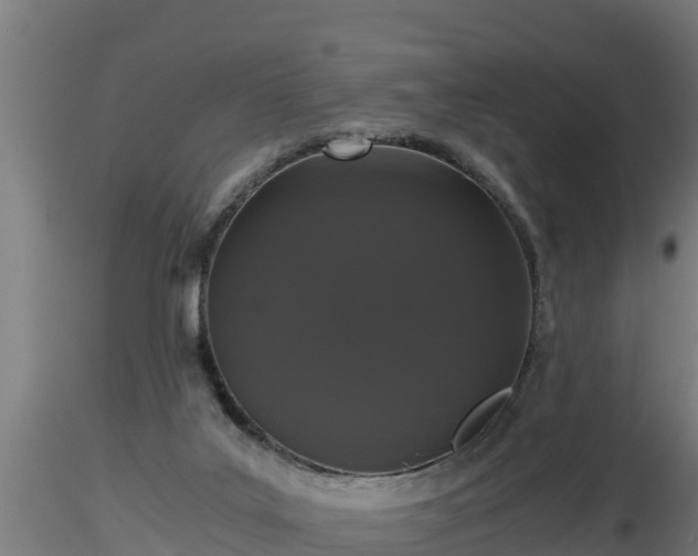 X0000116760019200912241152