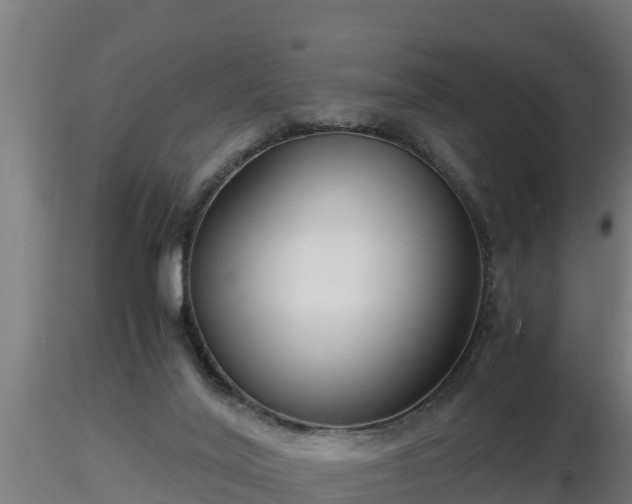 X0000116760020200912241152