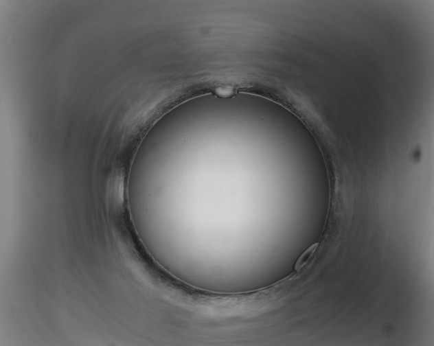 X0000116760021200912241152