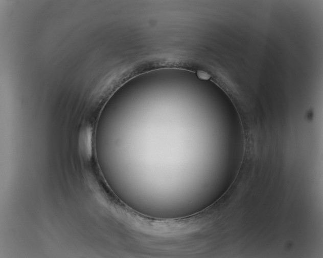 X0000116760022200912241152