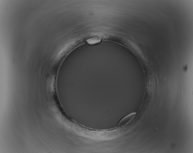 X0000116760023200912241152