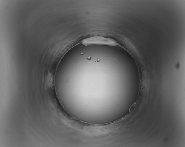 X0000116760025200912241152