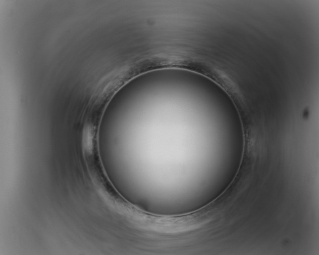 X0000116760026200912241152