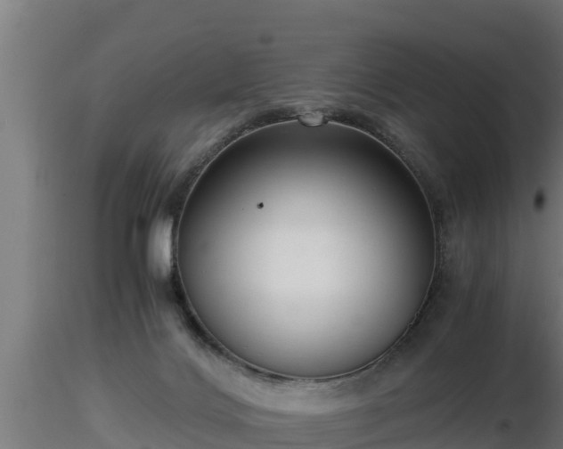 X0000116760028200912241152