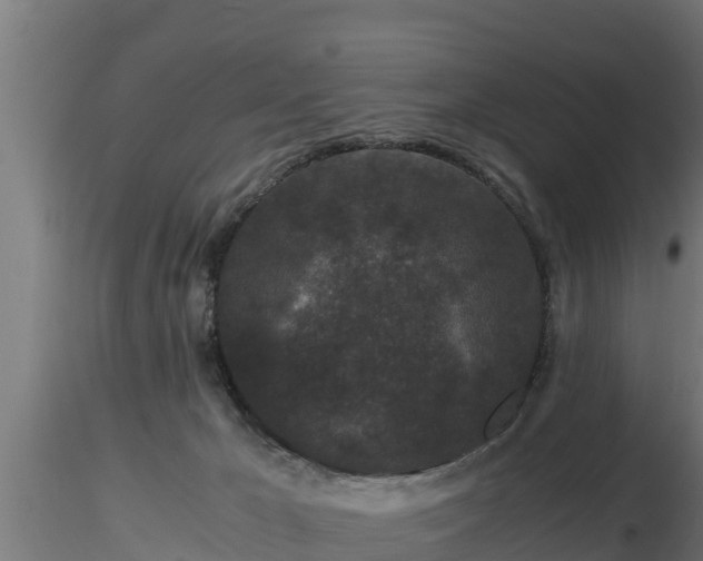 X0000116760029200912241152