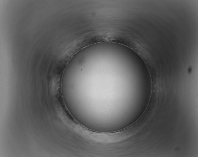 X0000116760030200912241152