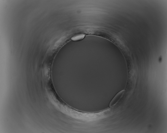 X0000116760031200912241152