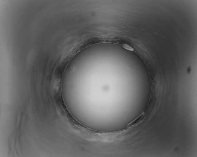 X0000116760033200912241152