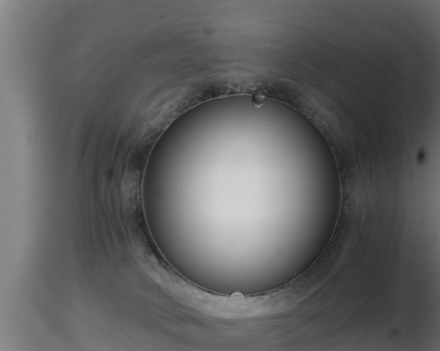 X0000116760034200912241152
