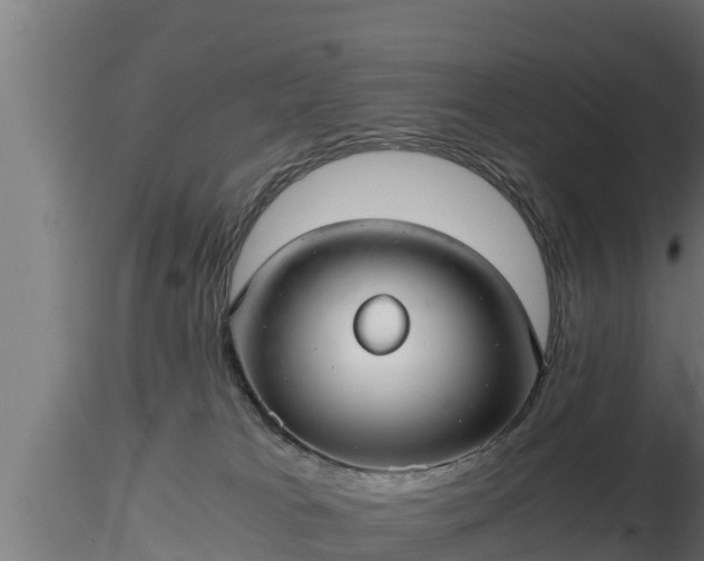 X0000116760037200912241152