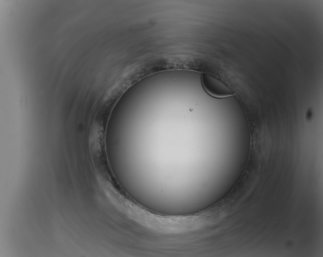 X0000116760038200912241152