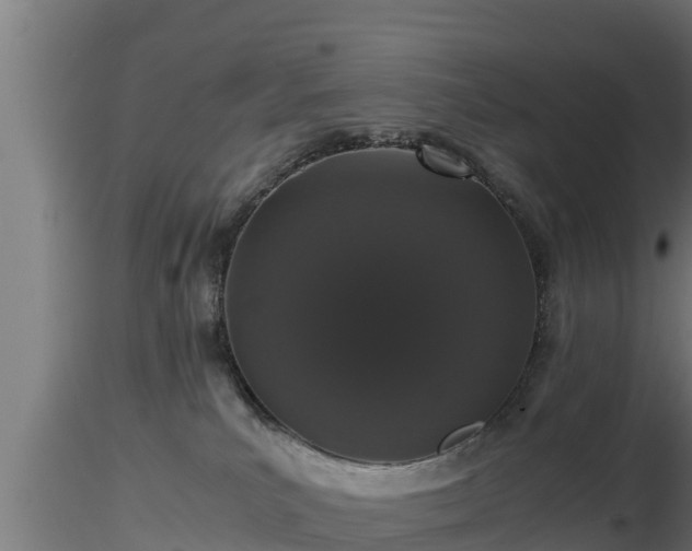 X0000116760039200912241152