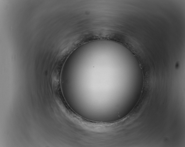 X0000116760040200912241152