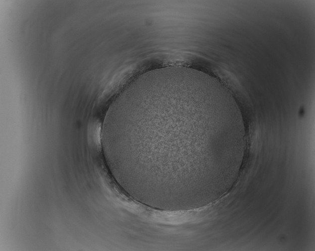 X0000116760041200912241152