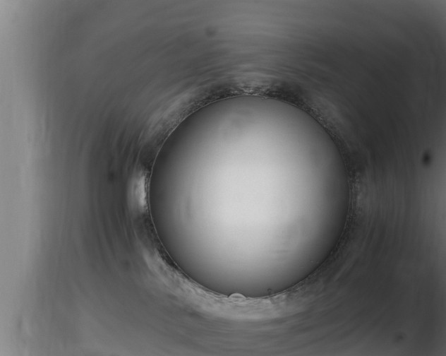 X0000116760042200912241151