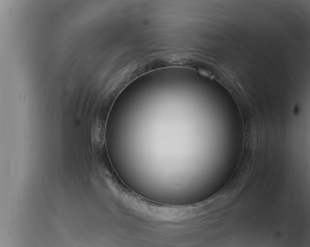X0000116760044200912241151