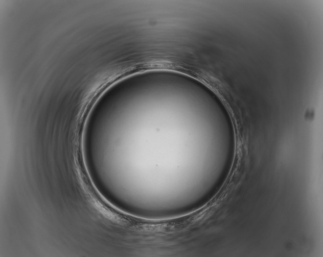 X0000116760049200912241151