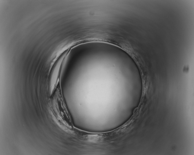 X0000116760050200912241151