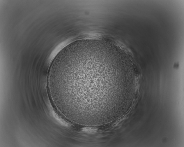 X0000116760051200912241151