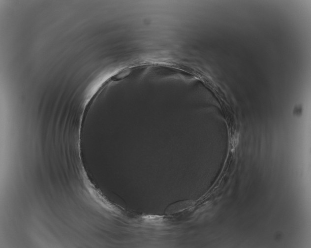 X0000116760052200912241151