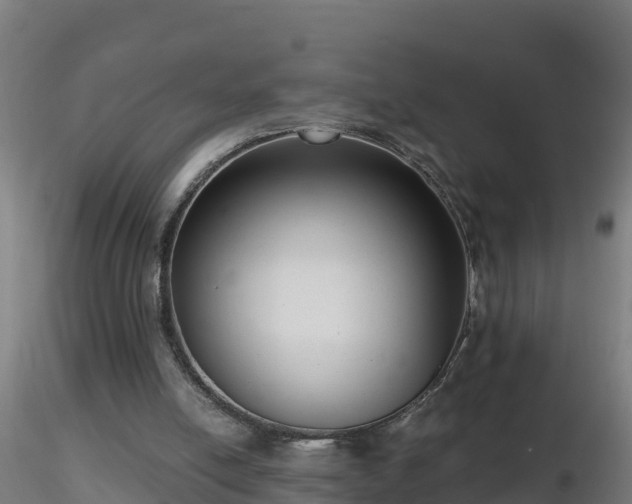 X0000116760054200912241151