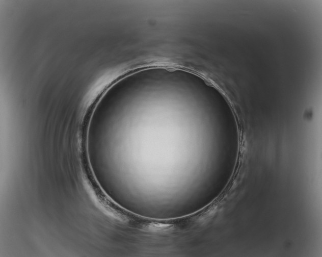 X0000116760055200912241151
