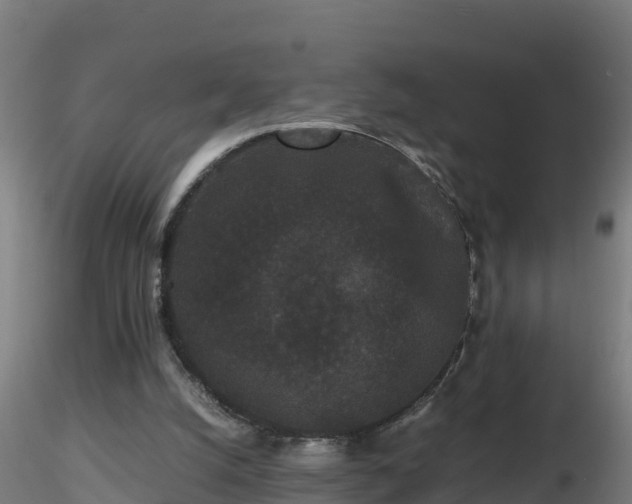 X0000116760056200912241151